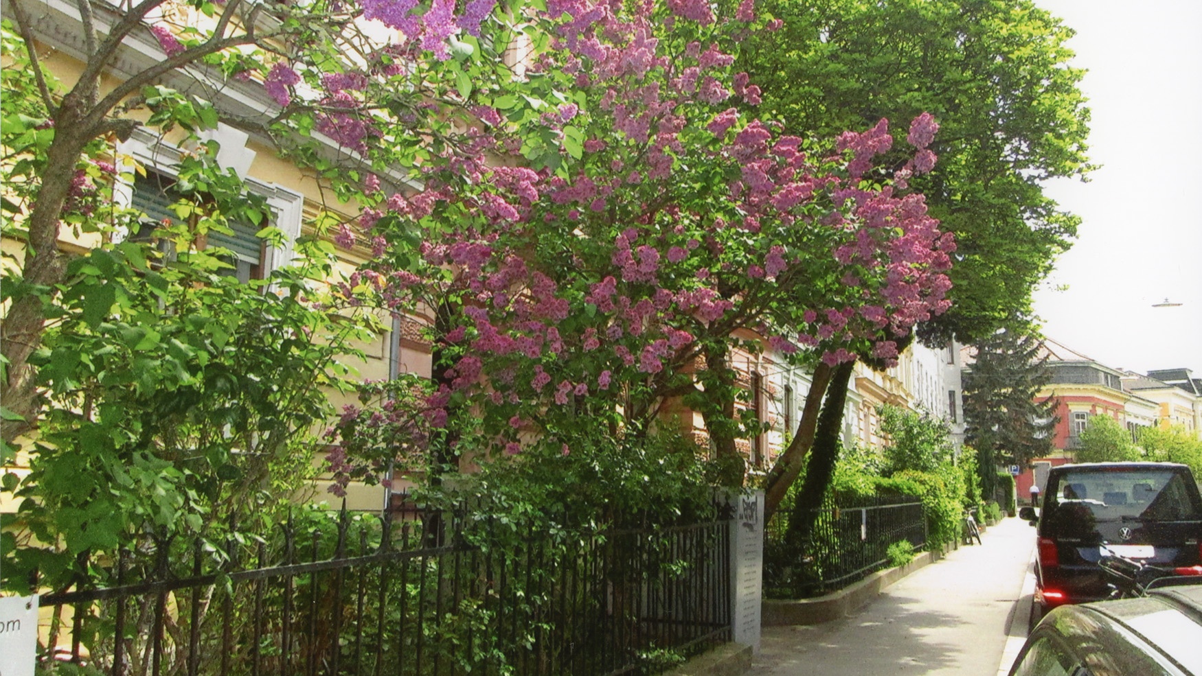 Naglergasse, 23.4.2016, Grätzelinitiative Margaretenbad
